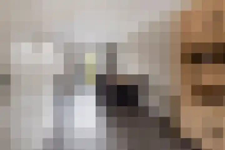 Wilgenhof 21 Giessen thumbnail 14