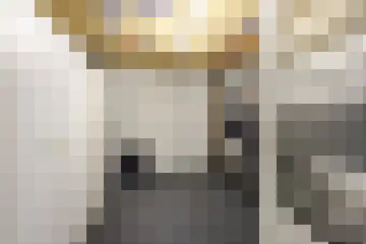 Wilgenhof 21 Giessen thumbnail 24