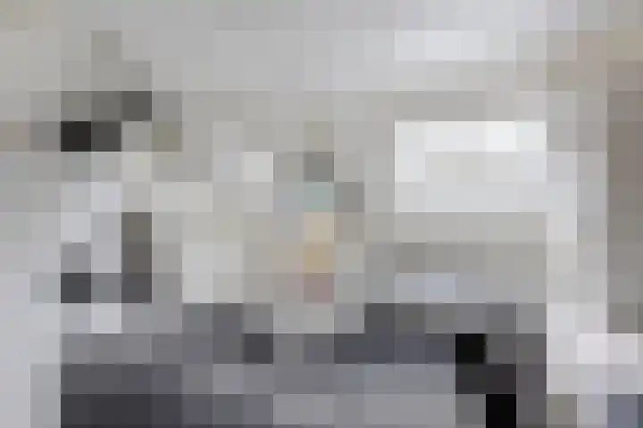 Wilgenhof 21 Giessen thumbnail 38