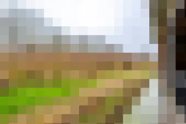 Wilgenhof 21 Giessen thumbnail 47