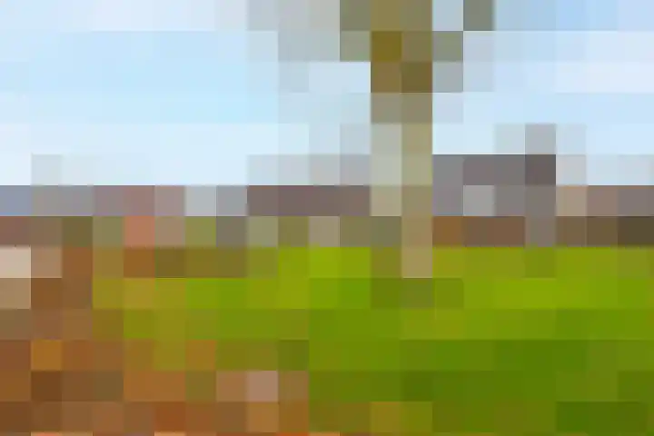 Wilgenhof 21 Giessen thumbnail 48