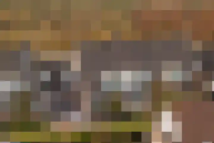 Wilgenhof 21 Giessen thumbnail 49