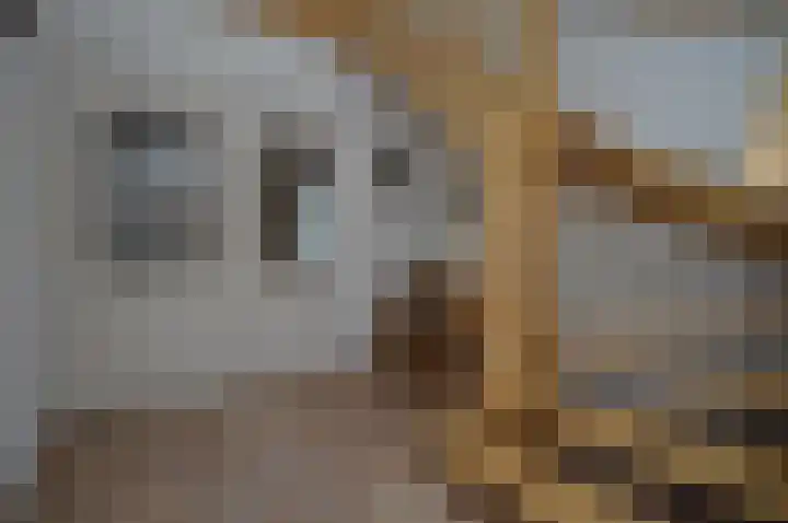 Wilgenhof 74 Deurne thumbnail 18