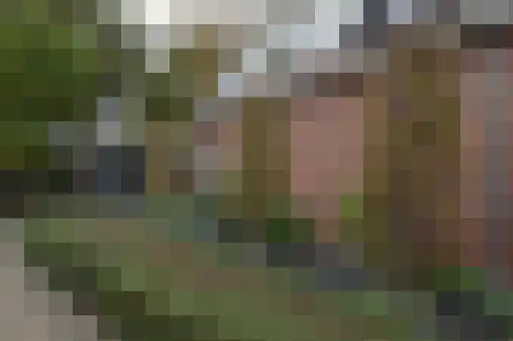 Wilgenhof 74 Deurne thumbnail 33