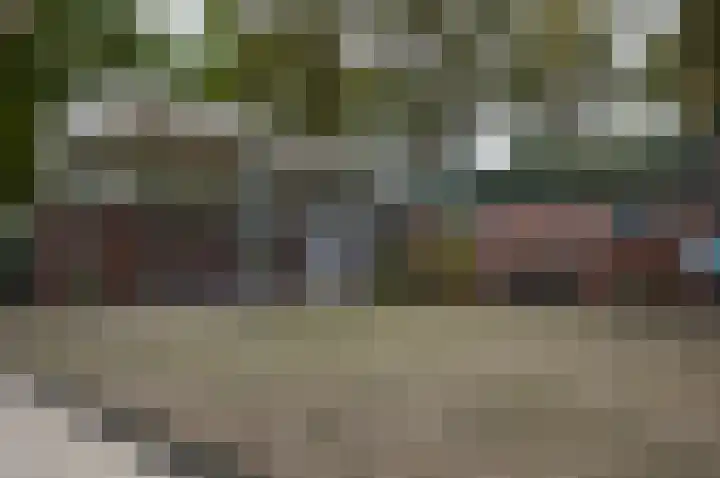 Wilgenhof 74 Deurne thumbnail 36