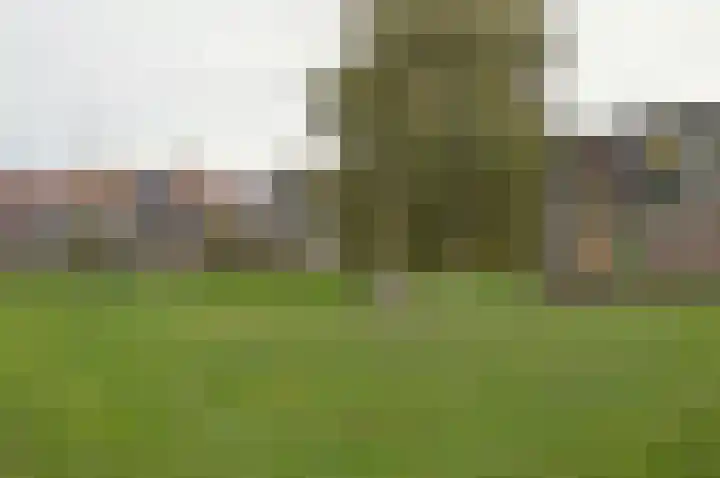 Wilgenhof 74 Deurne thumbnail 40
