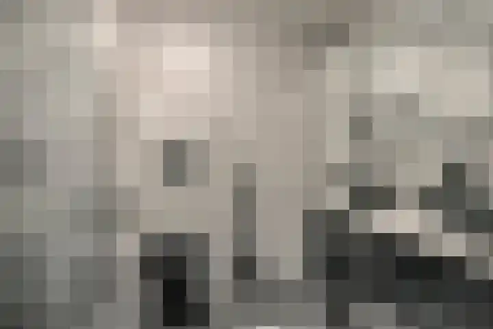 Wilgenhoven 19 Rhoon thumbnail 14