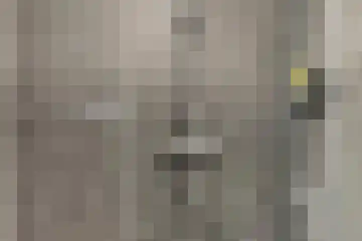 Wilgenhoven 19 Rhoon thumbnail 16