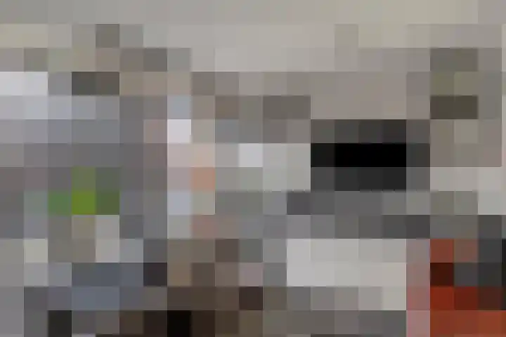 Wilgenhoven 19 Rhoon thumbnail 7