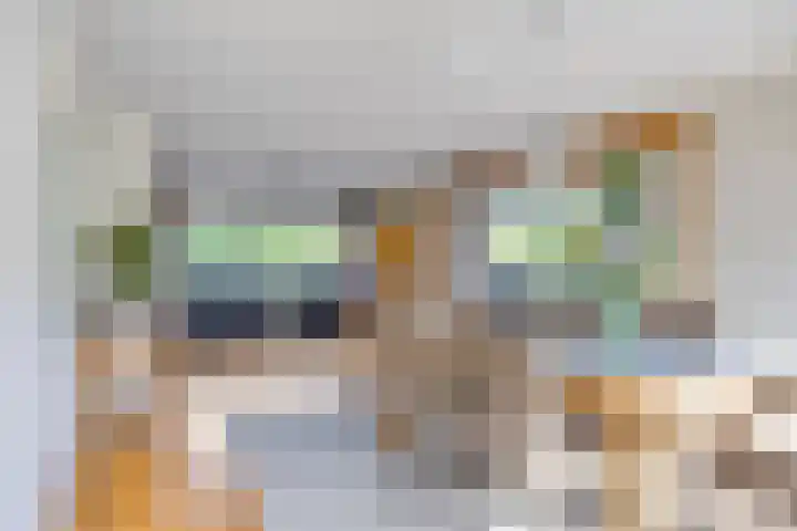 Wilgenkamp 12 Losser thumbnail 13