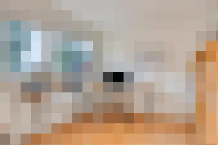 Wilgenkamp 12 Losser thumbnail 23