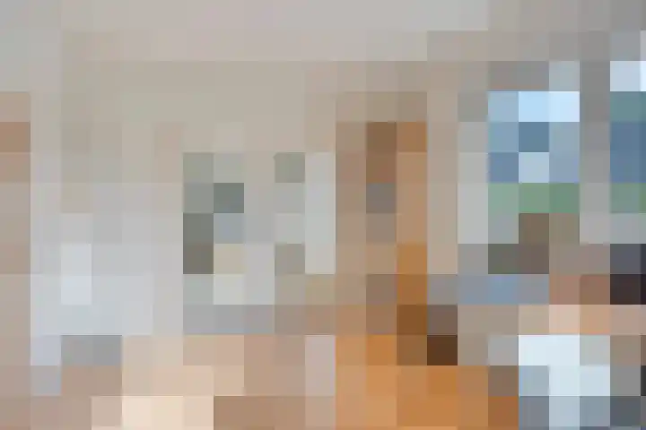 Wilgenkamp 12 Losser thumbnail 25