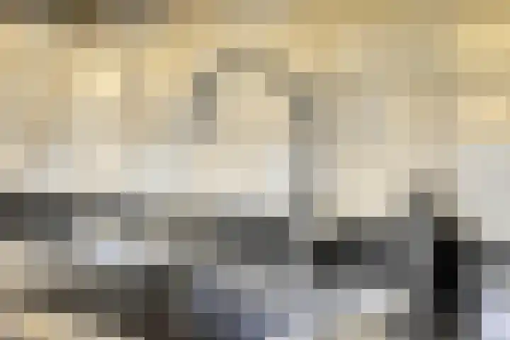 Wilgenkamp 12 Losser thumbnail 32