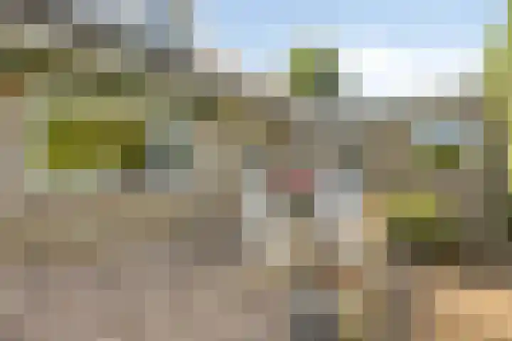 Wilgenkamp 12 Losser thumbnail 46