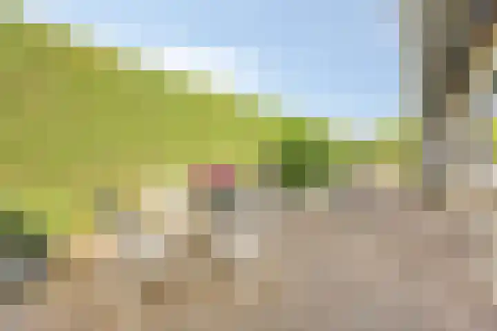 Wilgenkamp 12 Losser thumbnail 47