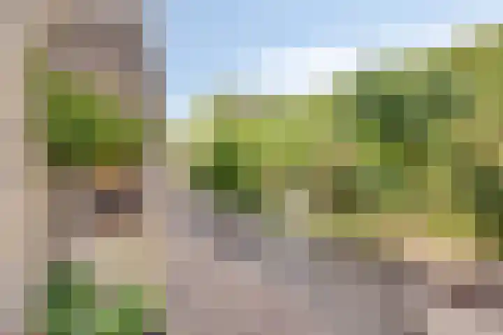 Wilgenkamp 12 Losser thumbnail 49