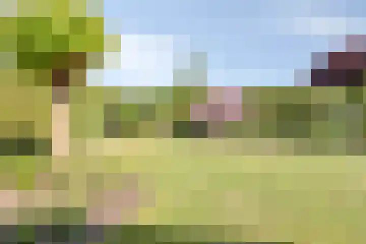 Wilgenkamp 12 Losser thumbnail 51