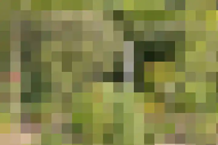 Wilgenkamp 12 Losser thumbnail 53