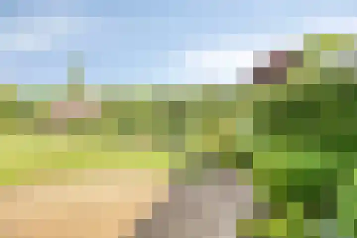 Wilgenkamp 12 Losser thumbnail 54