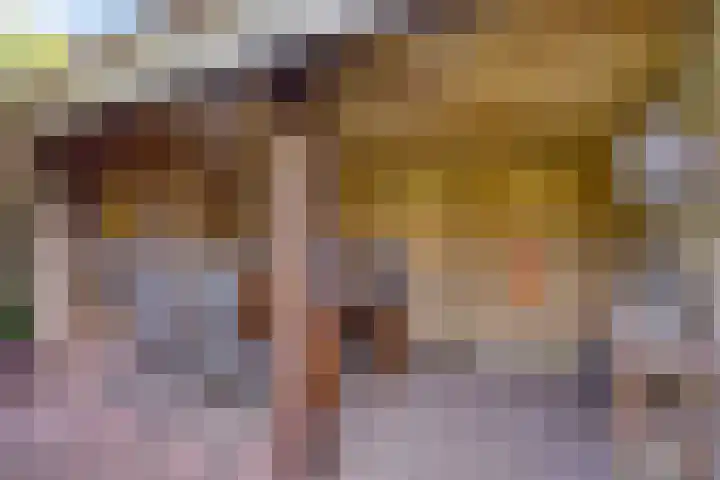 Wilgenkamp 12 Losser thumbnail 56