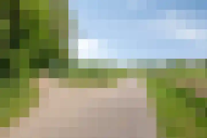 Wilgenkamp 12 Losser thumbnail 61