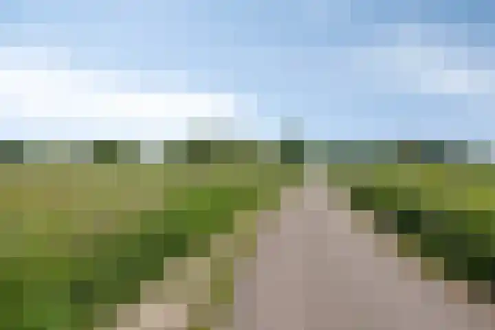 Wilgenkamp 12 Losser thumbnail 62