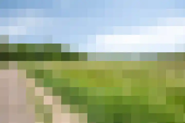 Wilgenkamp 12 Losser thumbnail 63