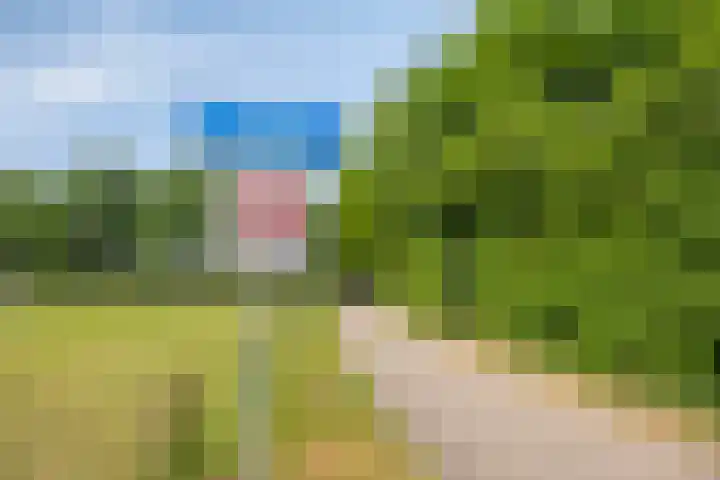 Wilgenkamp 12 Losser thumbnail 64