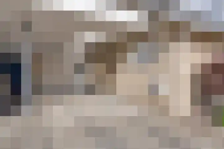 Wilgenkamp 12 Losser thumbnail 7