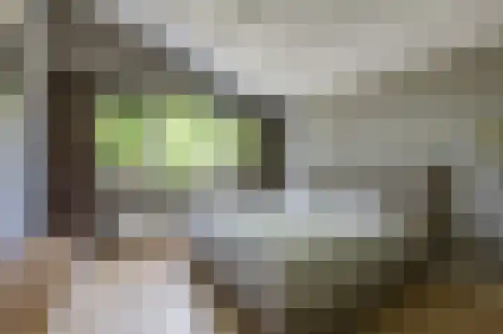 Wilgenlaan 142 Duiven thumbnail 34