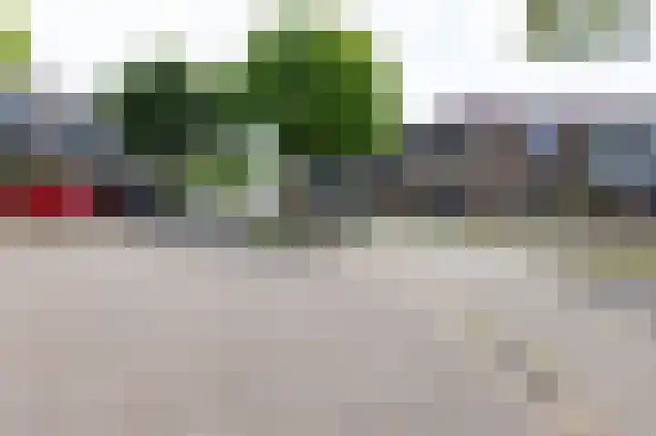 Wilgenlaan 142 Duiven thumbnail 6