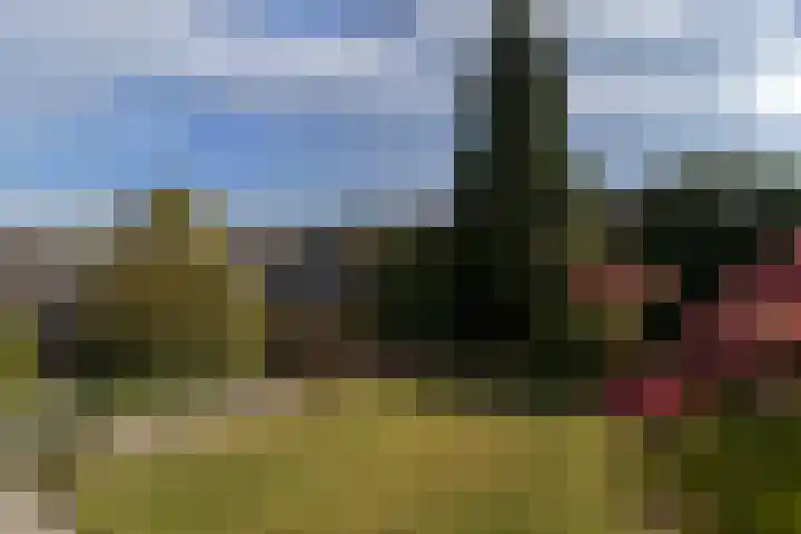 Wilgenlaan 24 Bunde thumbnail 22