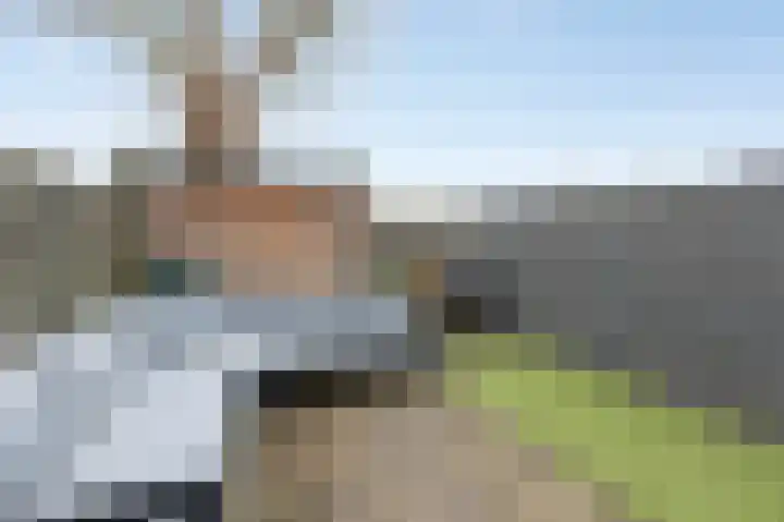 Wilgenlaan 33 Duiven thumbnail 40