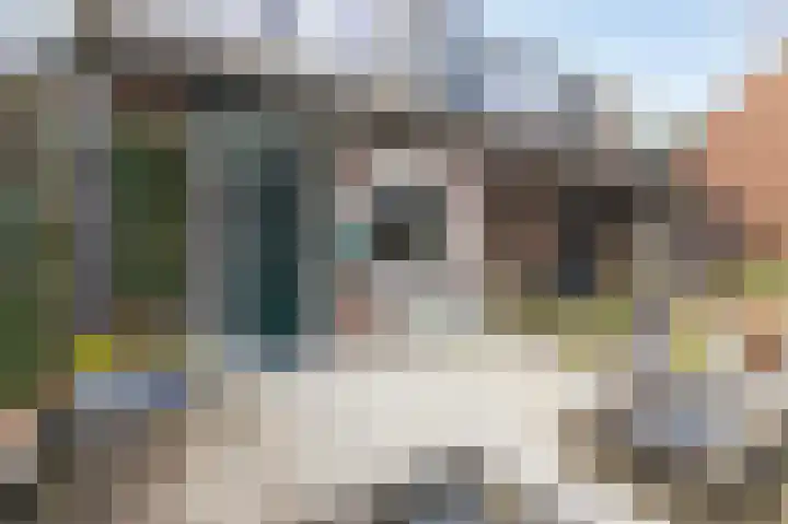 Wilgenlaan 33 Duiven thumbnail 7