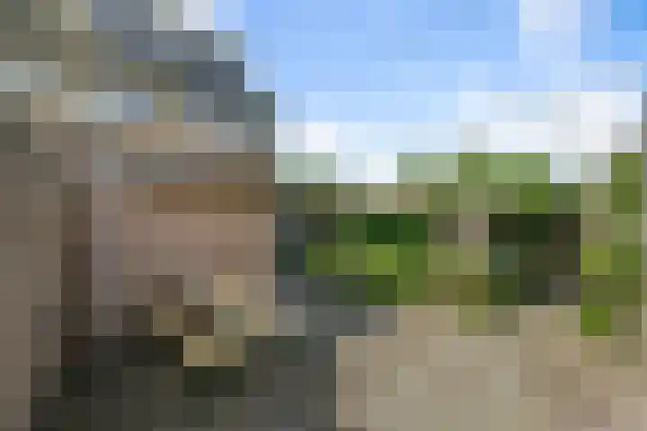 Wilgenlaan 37 Oudorp thumbnail 38