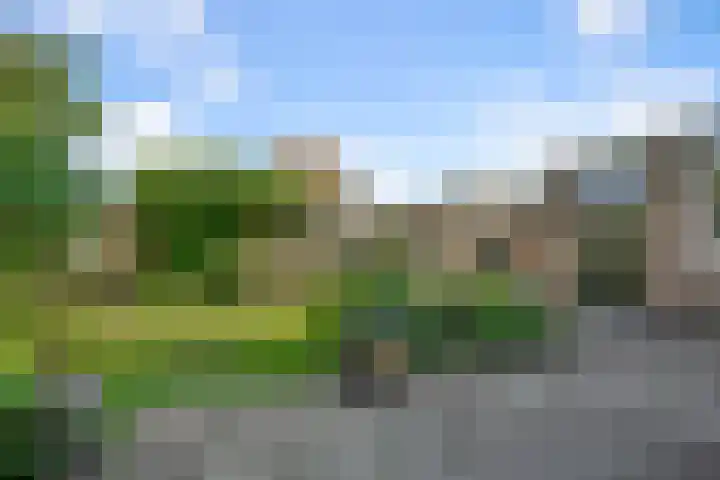 Wilgenlaan 37 Oudorp thumbnail 44