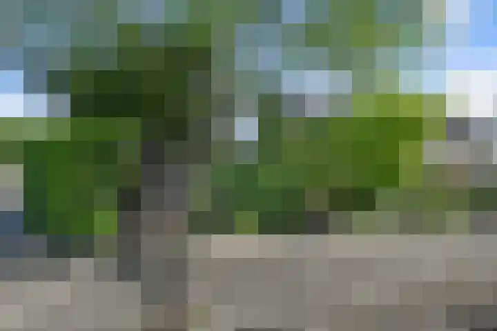 Wilgenlaan 37 Oudorp thumbnail 47
