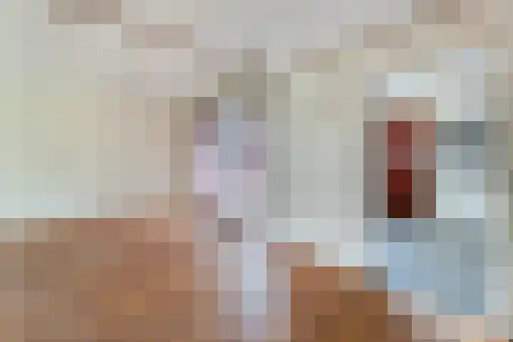 Wilgenlaan 4 Wierden thumbnail 14