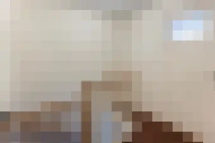 Wilgenlaan 4 Wierden thumbnail 19