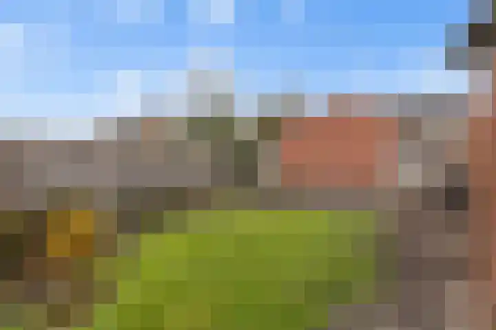 Wilgenlaan 4 Wierden thumbnail 34