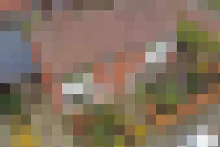 Wilgenlaan 4 Wierden thumbnail 40