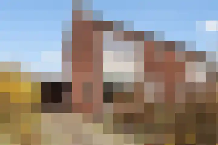 Wilgenlaan 4 Wierden thumbnail 5