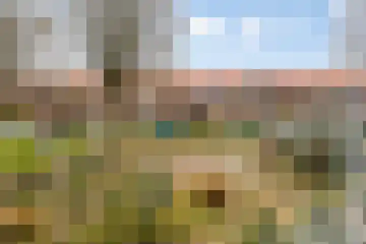 Wilgenlaan 42 Arnhem thumbnail 15