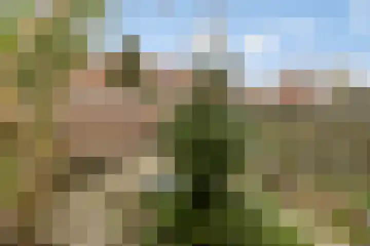 Wilgenlaan 42 Arnhem thumbnail 35