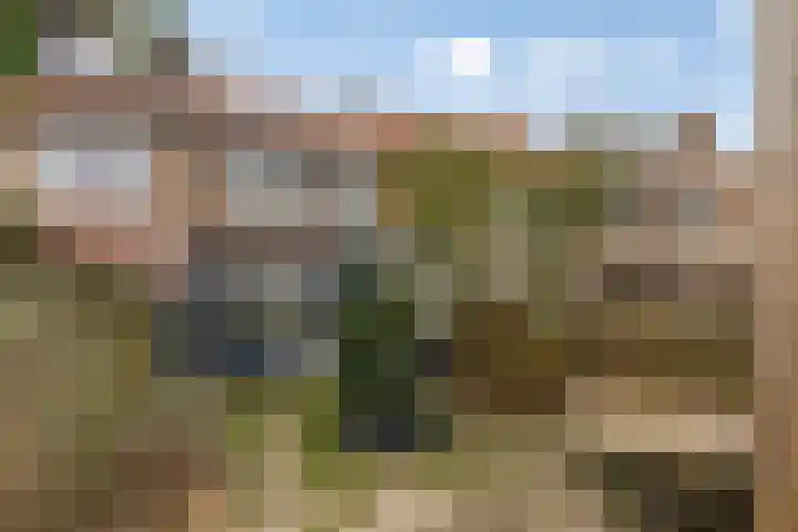 Wilgenlaan 42 Arnhem thumbnail 37