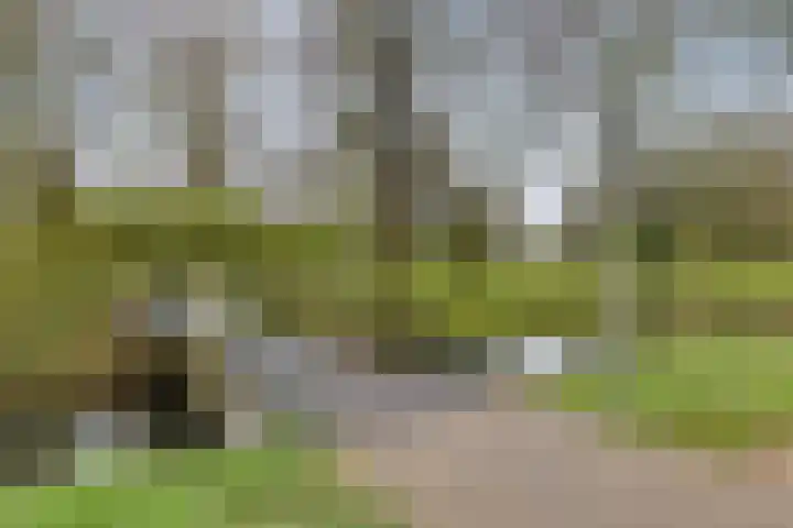 Wilgenlaan 42 Arnhem thumbnail 41