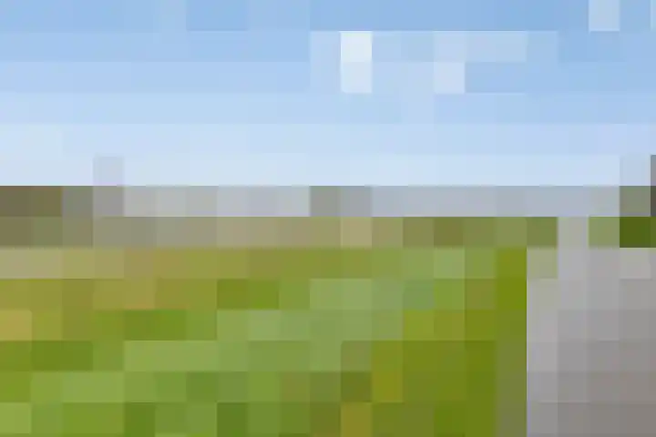 Wilgenlaan 42 Arnhem thumbnail 43