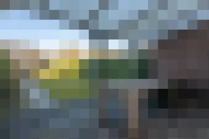 Wilgenlaan 6 Dirksland thumbnail 30