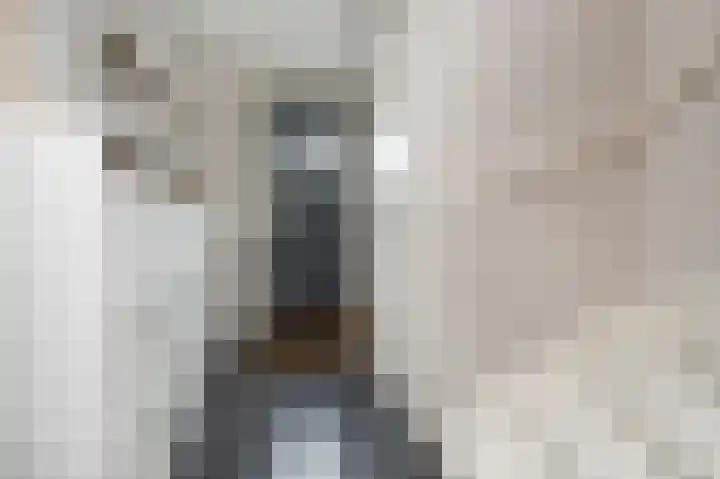 Wilgenlaan 6 Dirksland thumbnail 6