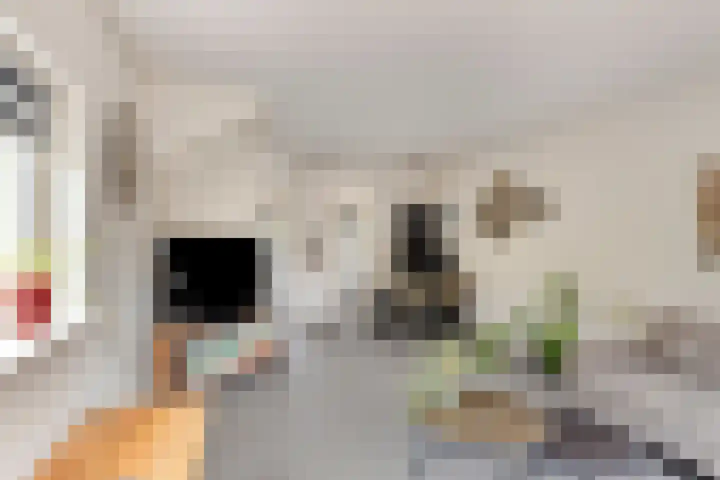 Wilgenlaan 61 Duiven thumbnail 12